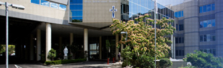 specialist orthopaedic group