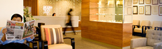 specialist orthopaedic group