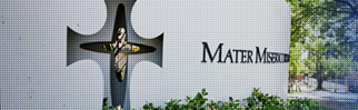 specialist orthopaedic group