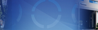 specialist orthopaedic group