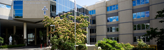 specialist orthopaedic group