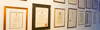 specialist orthopaedic group