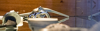 Hip Surgery