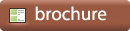 Knee Arthroscopy